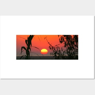 Algarve sunrise Posters and Art